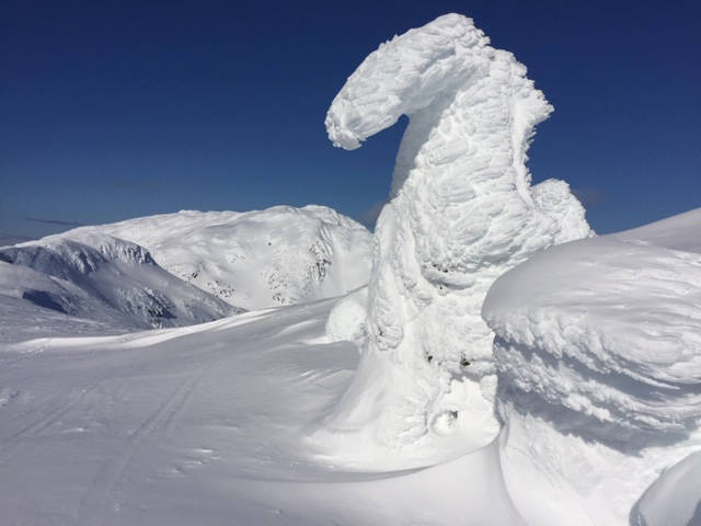 This photo shows a beautiful snow- and ice-covered tree on the ridge above Eaglecrest; Mount Ben Stewart can be seen in the distance on March 14, 2021. (Courtesy Photo / Bill Andrews)