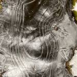 Distorted concentric circles form on a frozen puddle on West Glacier trail on March 10, 2021. (Courtesy Photo / Denise Carroll)