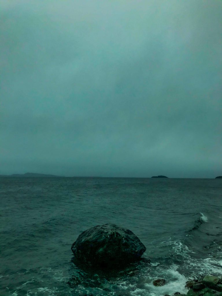 This photo shows a windy, rainy day. I still found some beauty on a gloomy day, writes Joseph Sypeck. (Courtesy Photo / Joseph Sypeck)