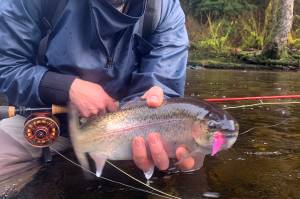 The fear of looking ridiculous or incompetent prevents many people from putting their creative abilities on display. (Jeff Lund / For the Juneau Empire)