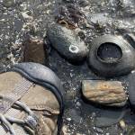 Shoe comparison to moon snail nest in Wrangell. (Vivian Faith Prescott / For the Capital City Weekly)