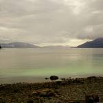 Luminescent patches of green show the start of the herring spawn on April 11 in Craig. (Courtesy Photo / Marti Crutcher)