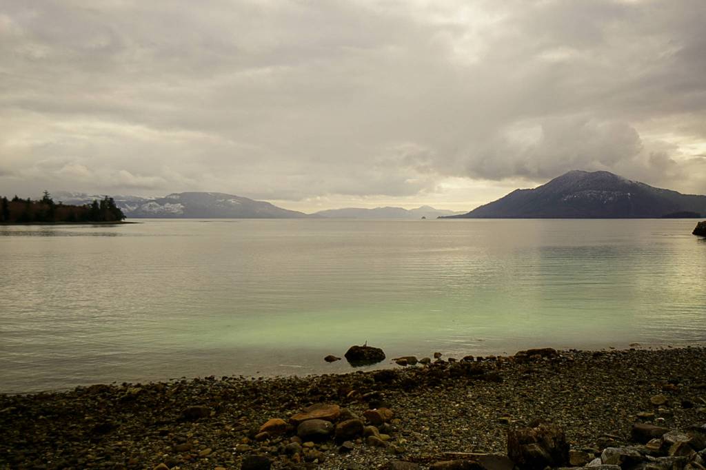 Luminescent patches of green show the start of the herring spawn on April 11 in Craig. (Courtesy Photo / Marti Crutcher)