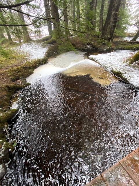 Springtime finds creek tributaries running hard while partially covered with ice at Point Bridget State Park on April 14, 2021. (Courtesy Photo / Denise Carroll)