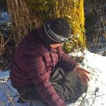Vivian Mork Yéilk inspects cottonwood buds. (Courtesy Photo / Vivian Mork Yéilk)