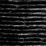 This photo shows baleen, the plates that line the mouths of toothless whales to help filter food. Baleen can provide a dietary time series starting from almost the beginning of a whales life. Baleen grows like our fingernails but doesnt get clipped, and a new layer grows each year. (Courtesy Photo / Bethany Sonsini Goodrich and Lione Clare, operating under NOAA Stranding Agreement MMHSRP #18786-04)