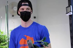 Alex Alf, cultivation manager at Stoned Salmon Farms, displays a marijuana variety called Blissful Wizzard, on April 16. He said this variety of marijuana was developed to relieve epilepsy symptoms. Alf said that cultivating marijuana in Alaska requires experimentation to fine-tune the final product. (Dana Zigmund/Juneau Empire)