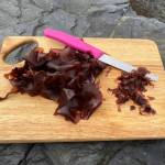 Red seaweed is chopped fresh for use in recipes. It is versatile can be used in spring rolls, in stir fry, with fish recipes, soups, potato and rice dishes, casseroles and in egg and vegetable dishes. (Vivian Faith Prescott / For the Capital City Weekly)