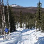 Courtesy Photo / Ned Rozell 
A valley in which the state of Alaska offers a rental cabin.