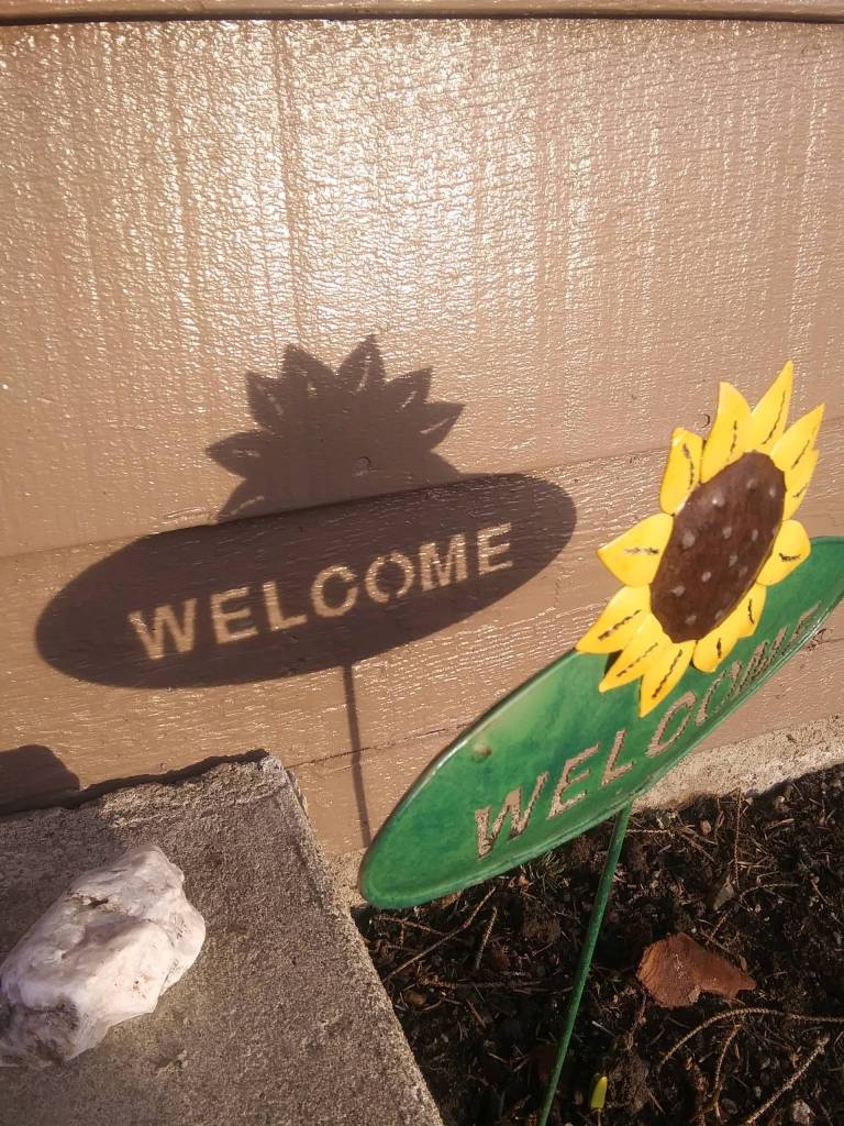The word welcome shines amid a shadow cast by a decorative sunflower. (Courtesy Photo / John C. Wynne)