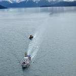 Coast Guard Cutter John McCormick, a 154-foot Sentinel–class vessel, towed the derelict tugboat Lumberman, to a position 54 miles west of Cross Sound, Alaska, on May 2, 2021. The decision to dispose of the Lumberman at sea, which had been abandoned in the Gastineau channel in 2016, was made after it was determined to be derelict and posed a significant public safety risk. (Courtesy photo / U.S. Coast Guard)