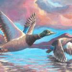 "Ducks at Dusk" by Thunder Mountain High School student Alain Soltys-Gray recently won best in show in the Alaska Junior Duck Stamp Contest. (Courtesy Image)