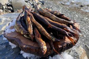 This photo shows smoked hooligan outdoors in Wrangell. (Courtesy Photo / Vivian Faith Prescott)
