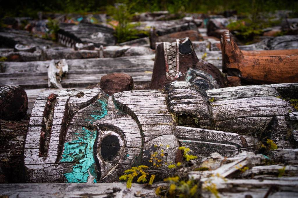 Totem Poles return to the earth outside the carving shed in Klawock. Carving totem poles has been a way to share skills and knowledge, pass on stories, institutionalize values, establish governance, recognize and ridicule community members, and honor culture for over ten thousand years. (Courtesy Photo / Bethany Sonsini Goodrich)