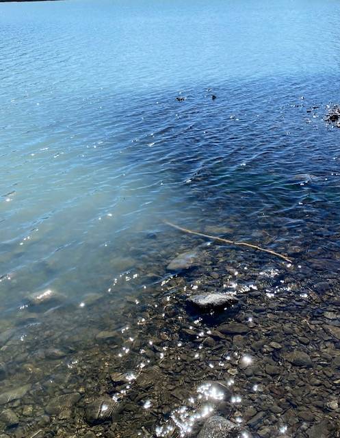 The line of demarcation between a freshwater creek and silty glacial water along Mendenhall Lake on May 18, 2021.