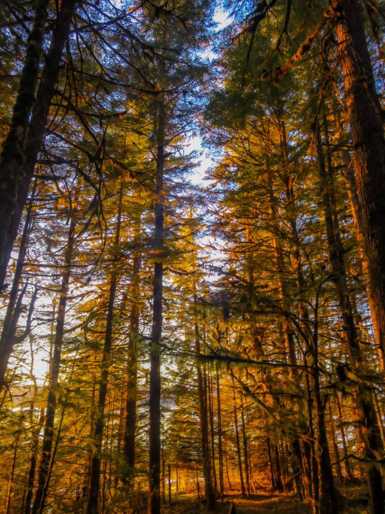 This photo is part of a series Joseph Sypeck title The Beauty within ones Grief. It was taken on North Douglas. Im sending these pictures in to honor my moms memory with it being 1 year without her, Sypeck writes. (Courtesy Photo / Joseph Sypeck)
