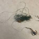 This snarl is evidence of an unlikely series of events and a messy fight.