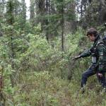 Nicholas Hasson, a graduate student who studies permafrost at the University of Alaska Fairbanks, walks through the boreal forest in Fairbanks with an instrument that helps him map permafrost features beneath the ground surface. (Courtesy Photo / Ned Rozell)