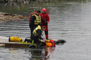 Capital City Fire/Rescue personnel underwent water rescue training at the floatplane pond Sunday at Juneau International Airport.
Michael S. Lockett / Juneau Empire