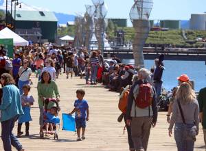 Based on the attendance of past festivals, organizers of the 11th Juneau Maritime Festival estimated in excess of 5,000 people showed up for the event celebrating Juneaus maritime culture. (Ben Hohenstatt / Juneau Empire)