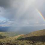 Courtesy Photo / Ned Rozell 
The crest of summer warmth is near in Alaska. Many locales in the Last Frontier have their temperature peak in July.