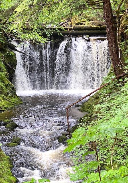 Upper Paris creek and falls as seen on July 14. (Courtesy Photo / Denise Carroll)