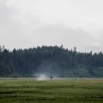 Smoke rises from the Gastineau Channel near the Mendenhall Wetlands the morning after Capital City Fire/Rescue responded to a report of a burning boat in the channel on July 13, 2021. The cause is under investigation. (Michael S. Lockett / Juneau Empire)