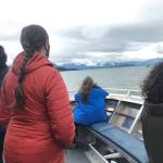 Courtesy Photo / Corinne Conlon 
People on board a boat wait to spot a whale.