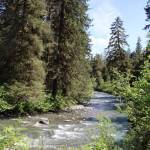This photo shows the view from Montana Creek Trail on June 17, 2021. This week, state officials said that a plan by the Juneau Off-Road Association to build a hardened trail and campground in Montana Creek to make it easier for people to operate all-terrain vehicles has been shelved. (Ben Hohenstatt / Juneau Empire File)