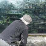 Chum salmon, like the kind seen here as a man examines the fish ladder at the Douglas Island Pink and Chum Inc. hatchery on Channel Drive on Wednesday, July 21, 2021, have had lower returns this year according to Alaska Department of Fish and Game biologists, even as fisheries in Bristol Bay are breaking records. (Peter Segall / Juneau Empire)