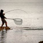 An angler readies their net to bring in salmon on Aug. 20. (Courtesy Photo / Kenneth Gill, gillfoto)