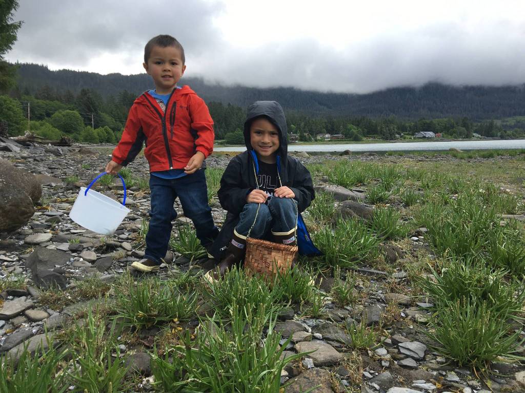 Chatham Mork and Owen Mork help harvest goose tongue at Shoemaker Beach in Wrangell. (Vivian Faith Prescott / For the Capital City Weekly)