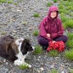 Keet and Vivian Mork Yeilk harvest goose tongue at Shoemaker Beach in Wrangell. (Vivian Faith Prescott / For the Capital City Weekly)