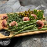 Goose tongue with beach greens and Wrangell shrimp ready to sauté. Goose tongue with beach greens and Wrangell shrimp ready to sauté. (Vivian Faith Prescott / For the Capital City Weekly)