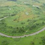 This photo shows a muskeg landscape near Yakutat. (Courtesy Photo / Ned Rozell)