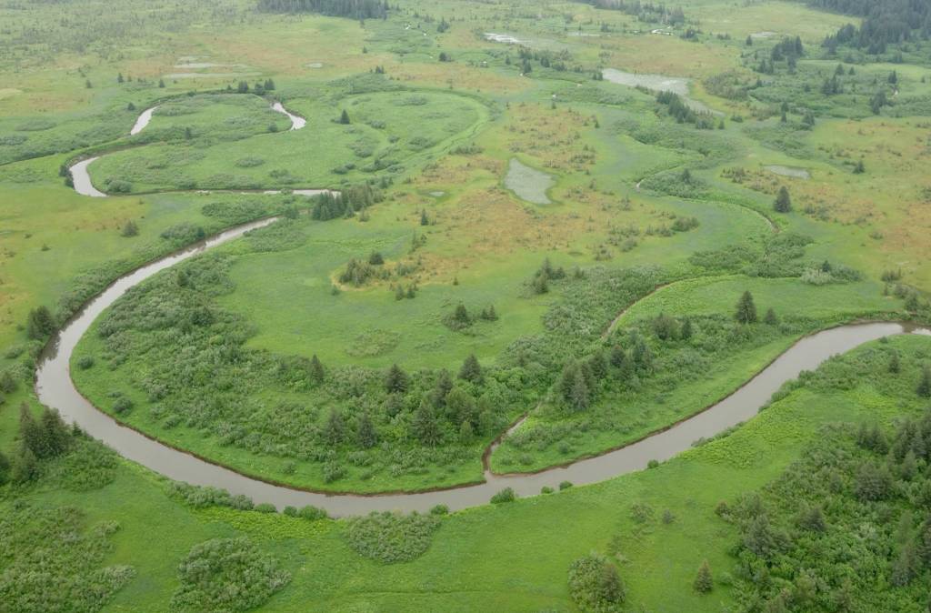 This photo shows a muskeg landscape near Yakutat. (Courtesy Photo / Ned Rozell)