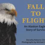 The cover to Dorothy Roberts Cline's book, "Fall to Flight: An Alaskan Eaglet's Story of Survival," uses a photo by the late Michael S. Cline. (Image courtesy of Dorothy Roberts Cline)