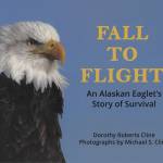 The cover to Dorothy Roberts Clines book, Fall to Flight: An Alaskan Eaglets Story of Survival, uses a photo by the late Michael S. Cline. (Image courtesy of Dorothy Roberts Cline)