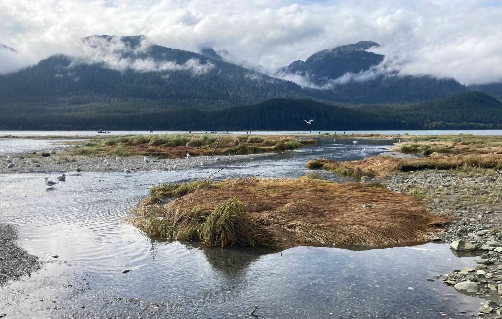 The tide comes in near Sheep Creek. (Courtesy Photo / Deborah Rudis)