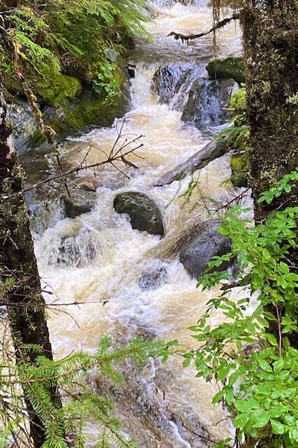 A stream cascades over rocks above Treadwell Ditch due to recent rain on Aug. 11. (Courtesy Photo / Denise Carroll)