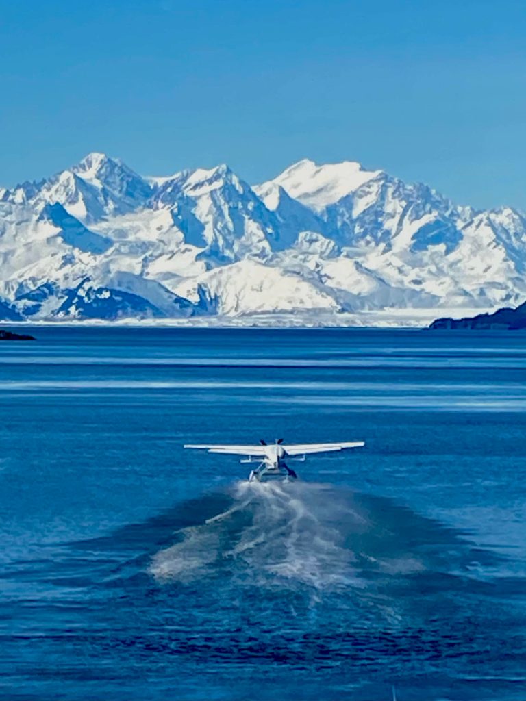 This photo was taken this year at Elfin Cove. (Courtesy Photo / Allan Edwards)