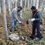 Jeff Doty and Faisai Minhaj check traps baited with oats and peanut butter for voles and squirrels in Interior Alaska. (Courtesy Photo / Ned Rozell)