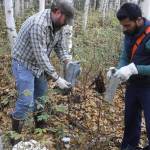 Jeff Doty and Faisai Minhaj check traps baited with oats and peanut butter for voles and squirrels in Interior Alaska. (Courtesy Photo / Ned Rozell)