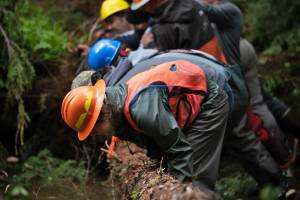 The U.S. Department of Agriculture is seeking public comment until Oct. 18, to generate ideas for investment opportunities for the Biden administrations Southeast Alaska Sustainability Strategy which hopes to build upon partnerships with regional entities. The USDA Forest Service has previously worked with regional organizations to promote regional development, such as this May, 2021 stream restoration project near Craig, done in partnership with the Southeast Alaska Watershed Coalition and many others. (Courtesy photo / Ian Johnson via U.S. Forest Service)