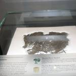 The Thorne River Basket, which is on display at the Alaska State Library, Archives and Museum is possibly the oldest Northwest Coast basket ever found in North America. Its more than 5,000 years old. (Dana Zigmund/Juneau Empire)