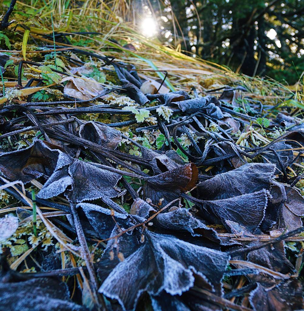 This photo of the frost-covered ground was taken in Craig on Oct. 17. (Courtesy Photo / Marti Crutcher)