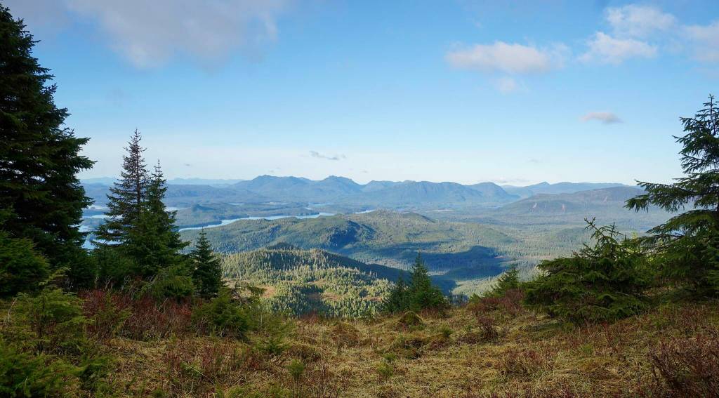 This photo shows a sweeping view of Prince of Wales Island on Oct. 17. (Courtesy Photo / Marti Crutcher)