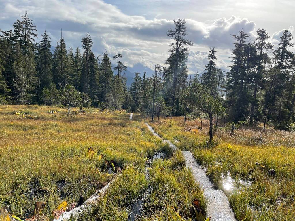 This photo was taken on the Auk Nu Trail on Sept. 25. (Courtesy Photo / Deana Barajas)