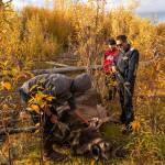 Bernard Ishnook, from left, Steven Guinness Jr., 14, and Ben Stevens discuss how to pack out a two-year-old moose killed by the Stevens family hunting party on Tuesday, Sept. 14, 2021, near Stevens Village, Alaska. For the first time in memory, both king and chum salmon have dwindled to almost nothing and the state has banned salmon fishing on the Yukon. The remote communities that dot the river and live off its bounty are desperate and doubling down on moose and caribou hunts in the waning days of fall. (AP Photo/Nathan Howard)
Bernard Ishnook, from left, Steven Guinness Jr., 14, and Ben Stevens discuss how to pack out a two-year-old moose killed by the Stevens family hunting party on Tuesday, Sept. 14, 2021, near Stevens Village, Alaska. For the first time in memory, both king and chum salmon have dwindled to almost nothing and the state has banned salmon fishing on the Yukon. The remote communities that dot the river and live off its bounty are desperate and doubling down on moose and caribou hunts in the waning days of fall. (AP Photo/Nathan Howard)