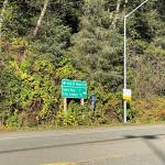 The Juneau Police Department is investigating a body found in the woods across from the Auke Bay Ferry Terminal on Tuesday, Oct. 5, 2021. (Michael S. Lockett / Juneau Empire)